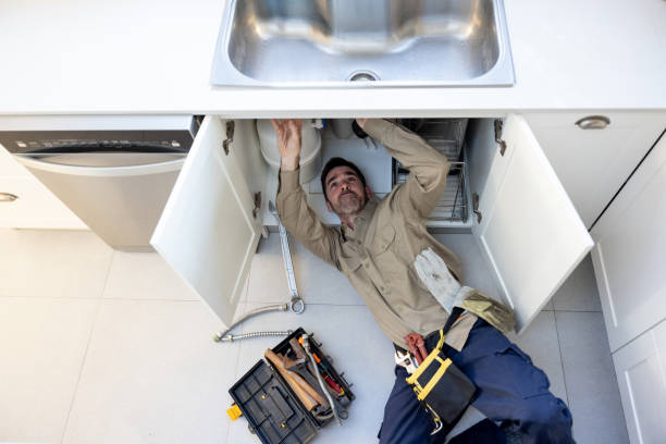 Best Affordable Plumber Near Me  in Mount Zion, IL