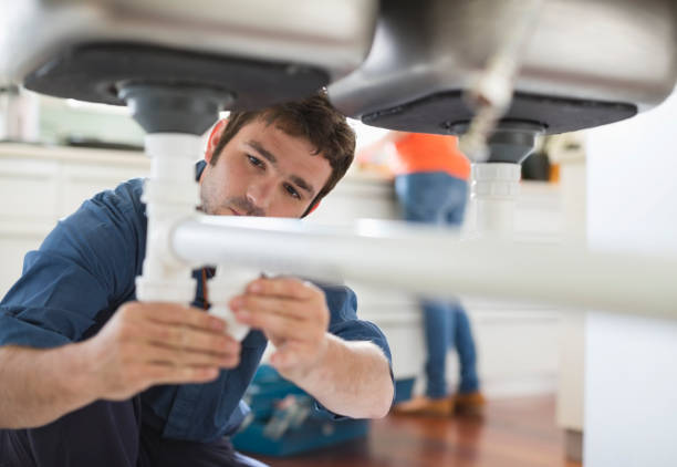 Best Clogged Drain Plumber  in Mount Zion, IL