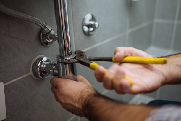 Best Faucet Repair  in Mount Zion, IL