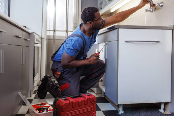 Best Best Plumbers Near Me  in Mount Zion, IL